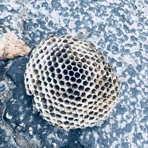 Meet your Posher, Kat